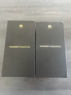 LOT de 2 Huawei Mate 20 Lite 64Go