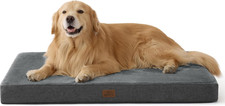 Cuscino Cane Grande in Memory Foam - Materassino Sfoderabile & Impermeabile, Ant