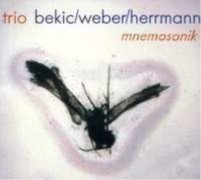 Bekic Trio Mnemosonik (CD)