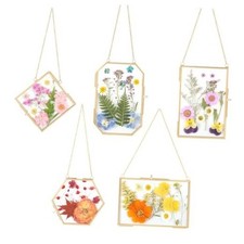 5 Pcs Double Glass For Pressed Flowers,Clear Brass Embossed Frame With