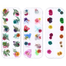 Dried Flowers for Nail Art, YWLI Small Tiny Real Natural Pressed Dry Flowers ...