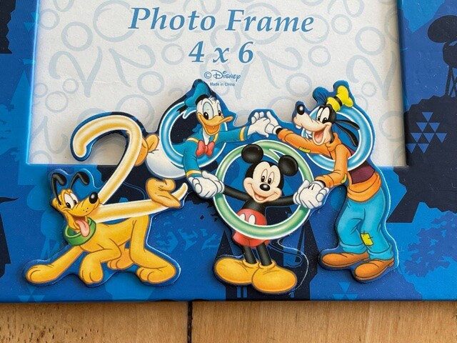 WALT DISNEY WORLD Photo Frame 2000 Collectible Photo Frame Picture
