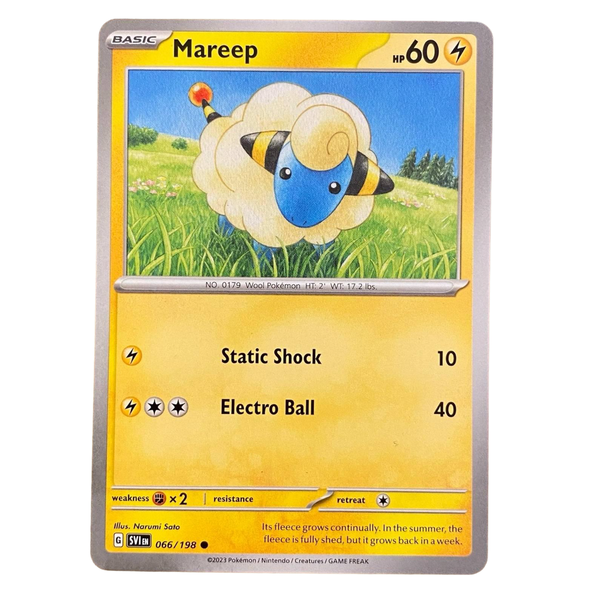 Mareep Pokemon Card 066/198 COMMON NM Near Mint Scarlet