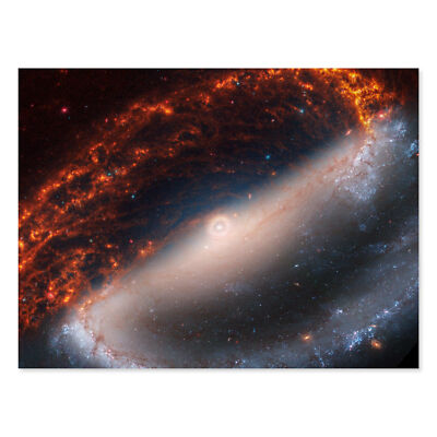 NASA Hubble James Webb Teleskop Spiralgalaxie NGC 1300 Leinwand Poster Druck Kunst