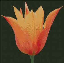 Flower Orange Tulip Counted Cross Stitch Chart No.20-120 