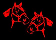Quarter Horse Decals Mirrored Image Set Equestrian Trailer Vinyl Car Stickers
