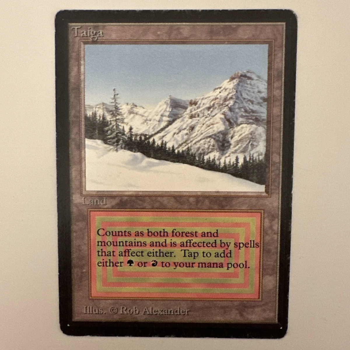 Taiga Magic: The Gathering Individual Trading Card Games for sale