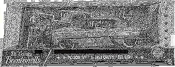 Jada Toys DC Comics Bombshells Poison Ivy y Chevy Bel Air 1953 Die-cast Car,... Foto 3 de 4