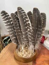 Natural Turkey Feathers, Smudging Feathers, Feathers For Smudging or Decoration,