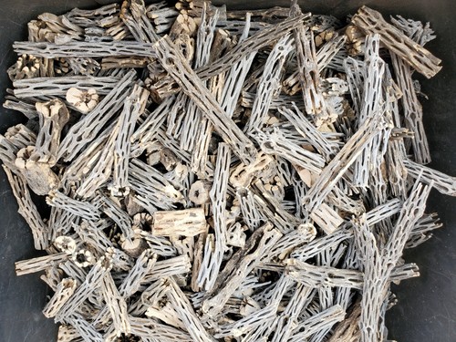 6+ LBS CHOLLA Wood CUTOFFS | Whole Pieces Split Halves Bits | Aquarium, Crafts - Picture 6 of 13