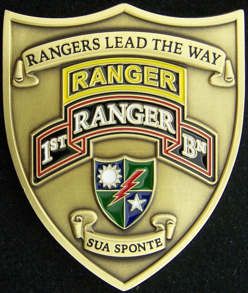 1st Battalion 75th Ranger Regiment Challenge Coin | eBay