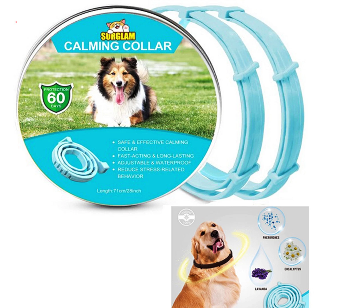 Best collar cheap for sheltie