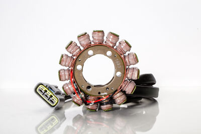 RICK'S MOTORSPORT ELECTRIC - Stator | 21-423