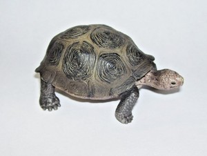 schleich turtle