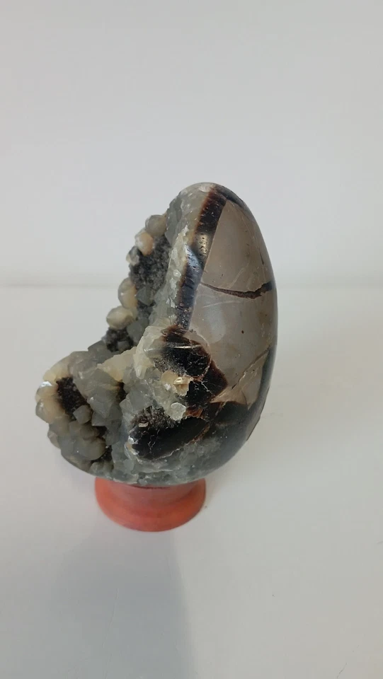 450g  OEUF EN  SEPTARIA  SAUVAGE Madagascar Massage Lithothérapie pierre  - Photo 4/4