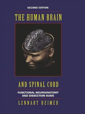 The Human Brain and Spinal Cord