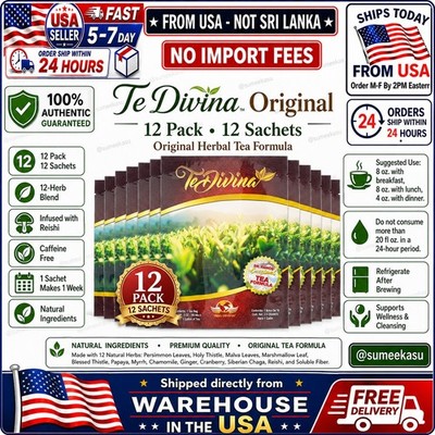 12 Pack TeDlVlNA Original Herbal Tea   12 Herb Blend with Reishi From USA 