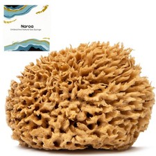 Soft Natural Sponge X Large Gentle Sea Loofah for Bathing Smooth Skin Unb...
