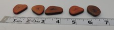 Vintage Tagua Nut Slices