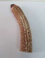 RED DEER STAG ANTLER ROLL TOP HIKING /WALKER HANDLE FOR WALKING STICK MAKING