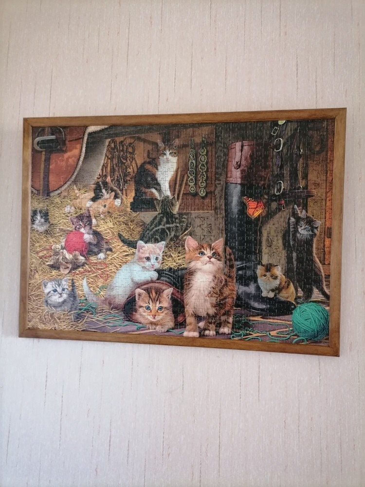 Puzzle encadré chats prêt à poser 40x50 cm en bois noir pour décoration murale