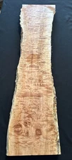 Curly Quilt Maple, Live Edge, 38” Long, 8” To 9” Wide, 1 3/4” Thick, Dry