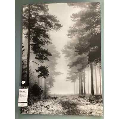 IKEA PJATTERYD Canvas MISTY FOREST Picture Black & White ORIGINAL