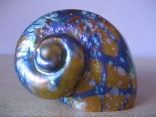 New American Studio Art Class Carl Radke Shell Sculpture Amber Blue Iridescent