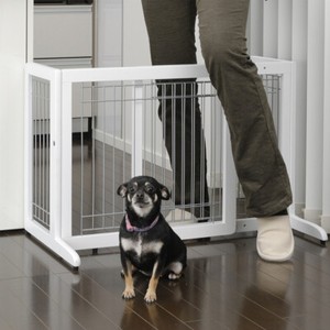 walk over pet gate