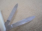 Vintage Wenger Delemont 2 1/2" Mini Swiss Knife — photo 5