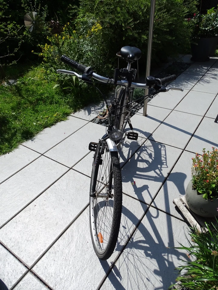 Fahrrad Delta Bikes Godzilla - Bild 3 von 4