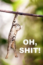 Oh Sht! Cat Funny Hang in There Cat Poster Funny Wall Posters Kitten Posters for