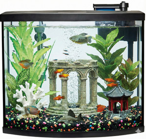 Complete 36 Gallon Aquarium Setup - Used 1 Week! Half Price off MSRP!