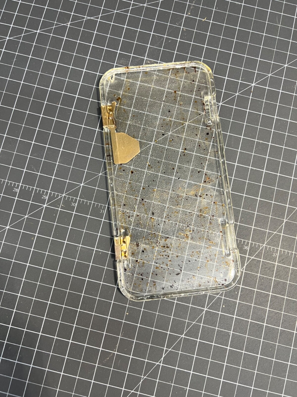 Picture 2