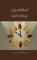 Life Without Instructions Dexter Sullivan Taschenbuch Englisch 2025