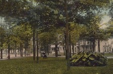 Cannon Memorial Park Foliage Maryland Divided Back Vintage Post Card