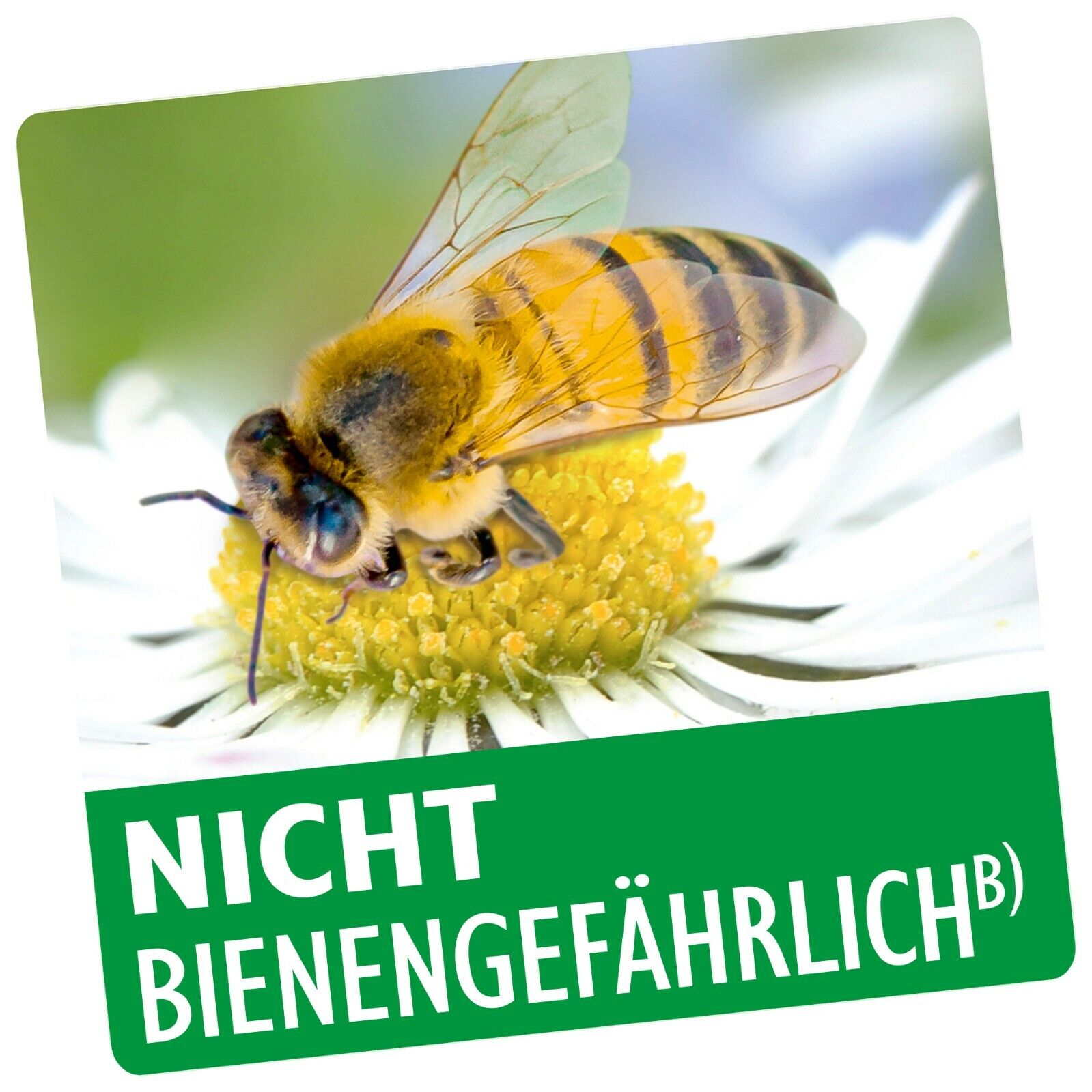 Bild 2 von 2