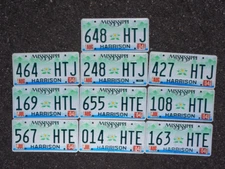 Mississippi MAGNOLIA FLOWER License Plate - LOT OF 10 - NICE QUALITY PLATES
