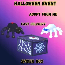 Adopt Your Black Widow, Chilling Spider & Spider Boxes – Fast Delivery