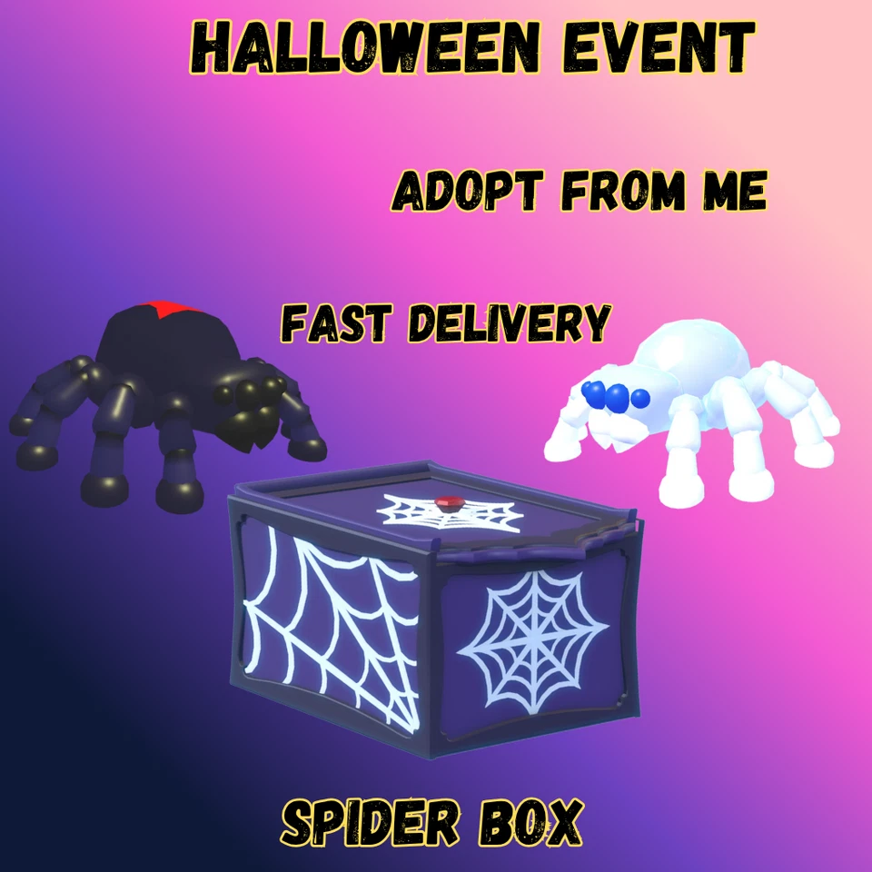 Adopt Your Black Widow, Chilling Spider & Spider Boxes – Fast Delivery