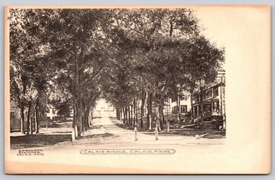 Calais Avenue, Calais, Maine Photo Postcard c. 1907-1915 B.W. Milliken AA562