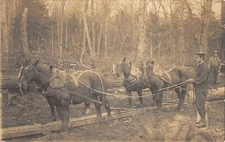 H94/ Occupational RPPC Postcard c1910 Logging Crew Horse Team 146