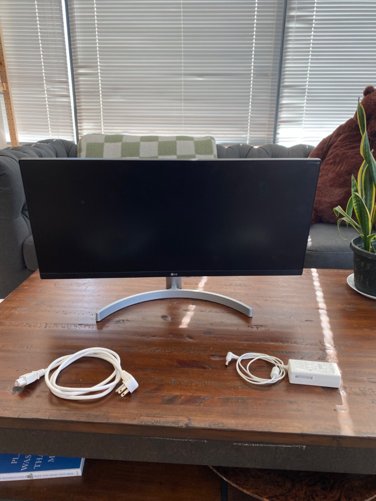 LG UltraWide WFHD 29-Inch FHD 1080p Silver Computer Monitor