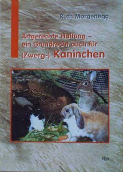 Thumbnail - Artgerechte Haltung - Ein Grundrecht Auch Für (zwerg-) Kaninchen Ruth