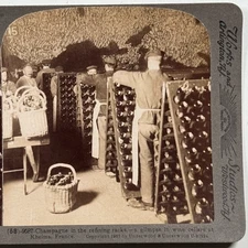 Champagne in the Refining Racks - A Glimpse in Wine Cellars at Rheims Stereoview