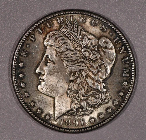 1891-S Morgan SILVER One-Dollar Coin, Very Fine Condition