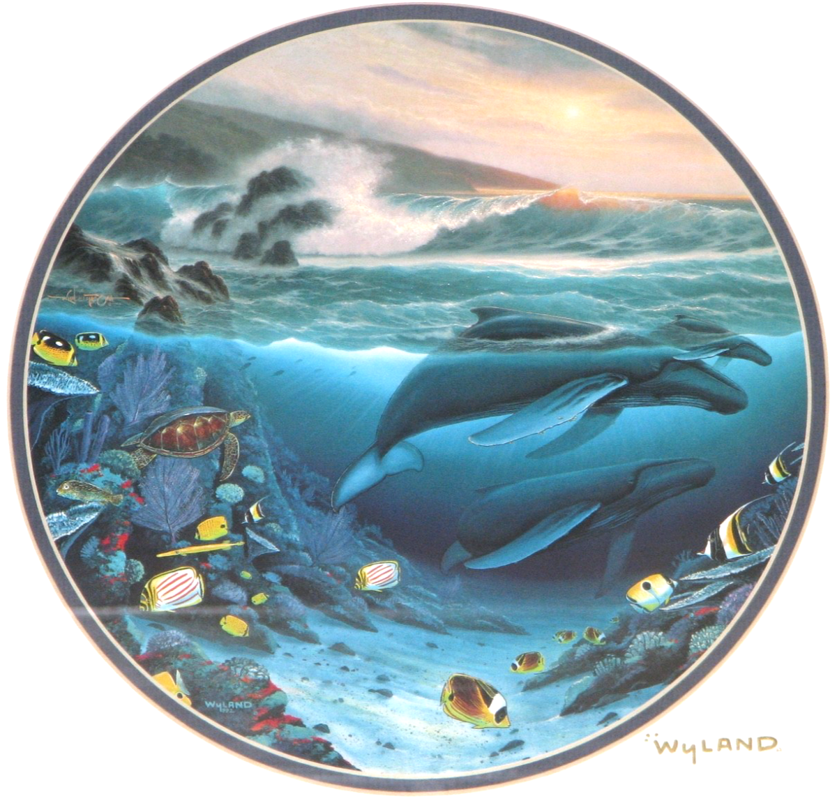 Vintage Robert Wyland 1992 Whale Framed Print | eBay