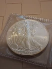2019 American Eagle Silver Dollar, Walking Liberty Uncirculated/Slight Toning
