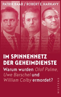 Im Spinnennetz der Geheimdienste Patrik Baab