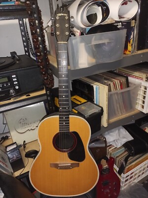 Applause Acoustic Guitar 1970s 